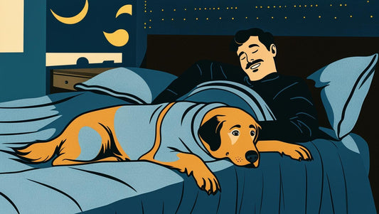 Warum Hunde im Schlaf oft rennen – und träumen sie wirklich? 🐾