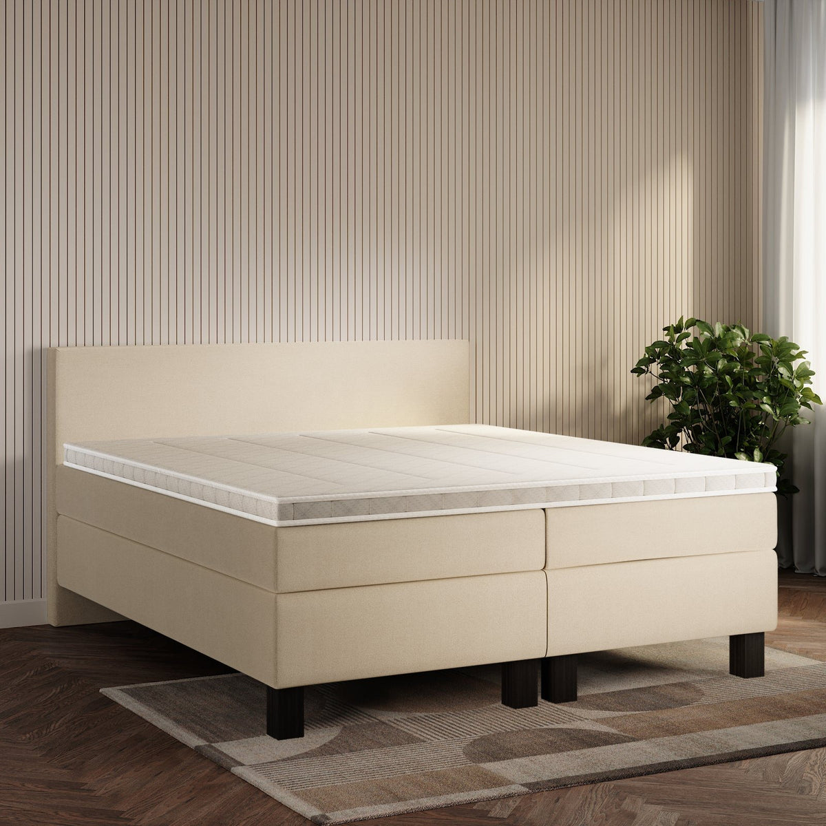 koami Boxspringbett Celine in Samt Creme