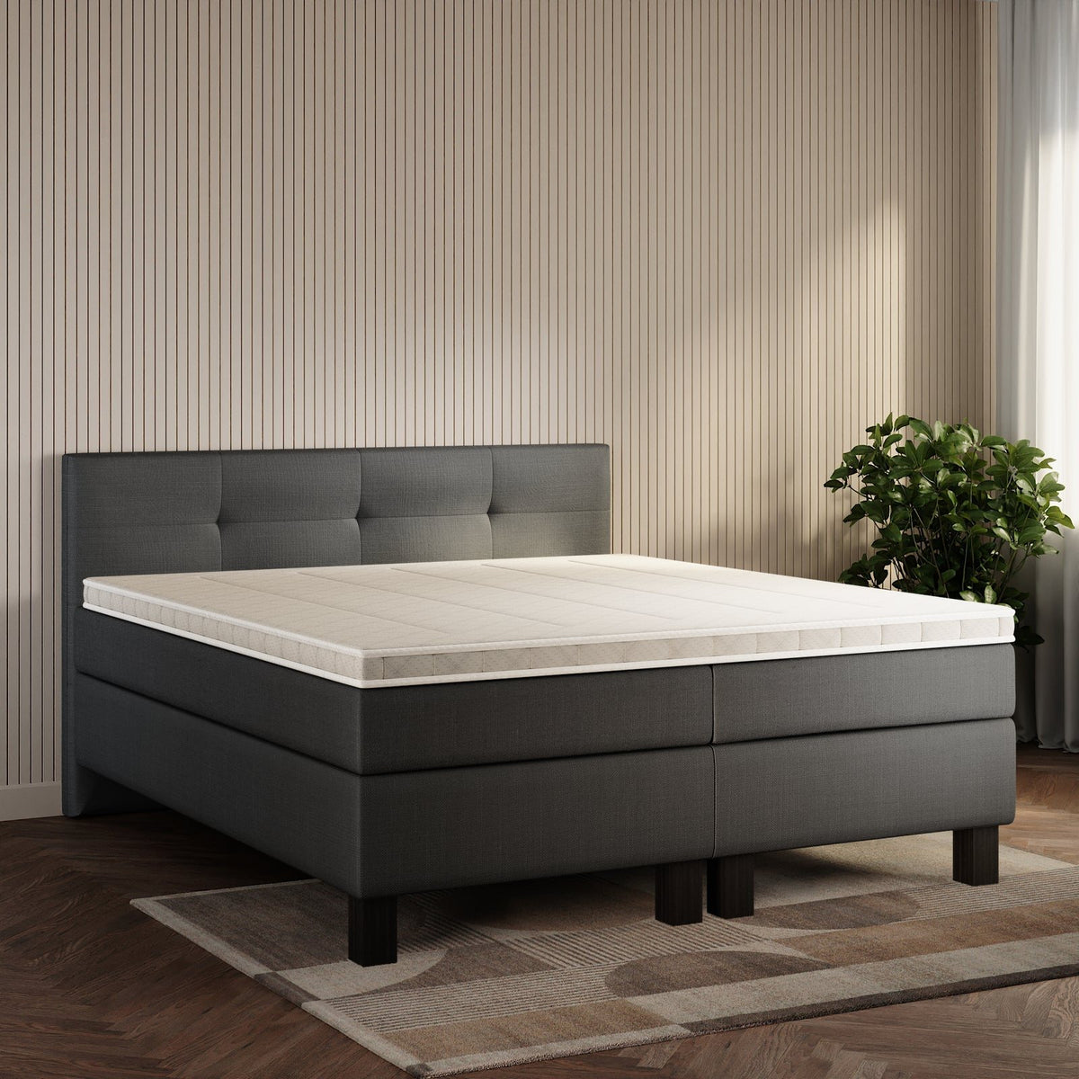 koami Boxspringbett Elora in Feiner Stoff Anthrazit