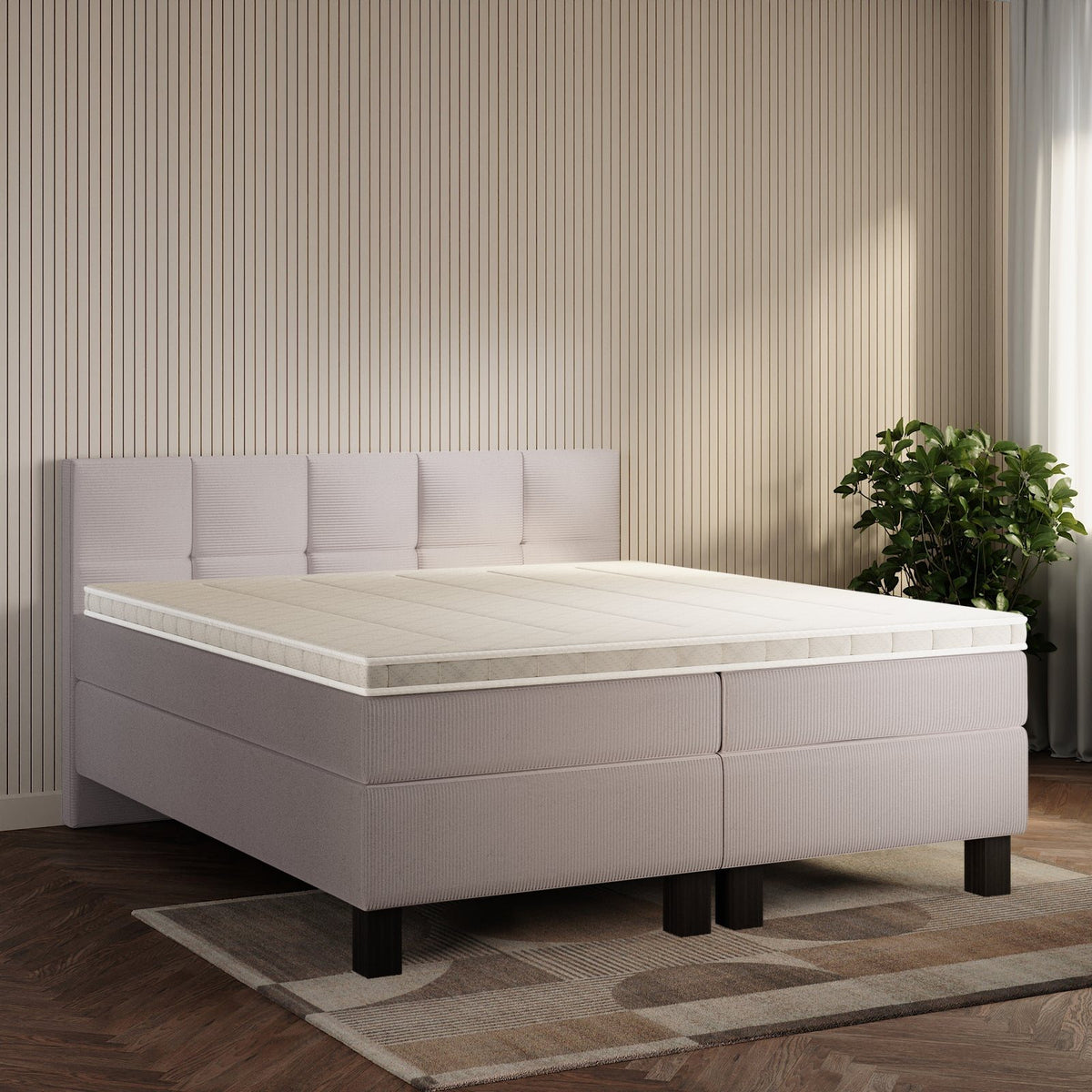 koami Boxspringbett Lucel in Cord Grau