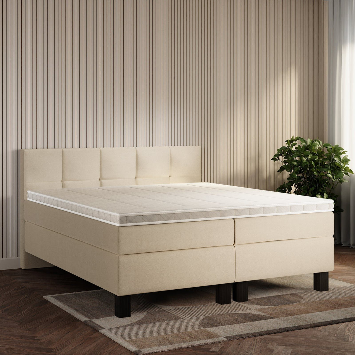 koami Boxspringbett Lucel in Samt Creme