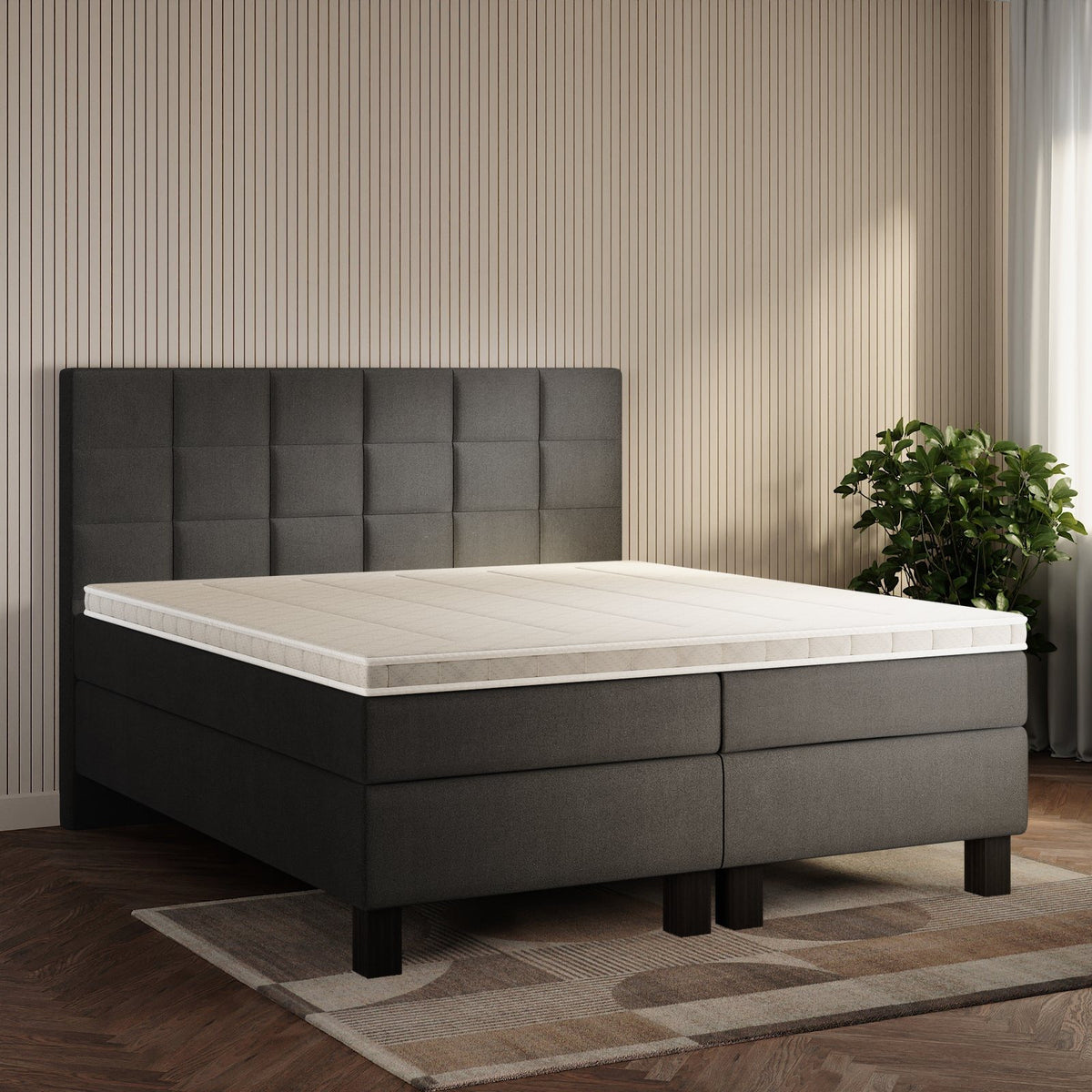 koami Boxspringbett Mirel in Samt Grau