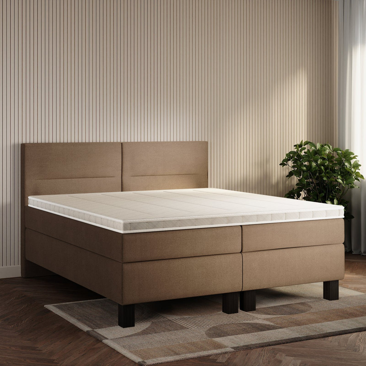 koami Boxspringbett Solane in Samt Beige