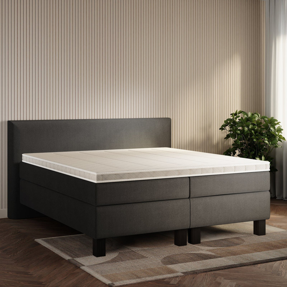 koami Boxspringbett Thalia in Samt Grau